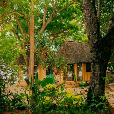 达累斯萨拉姆 Mikadi Beach Camp & Backpackers旅舍 外观 照片