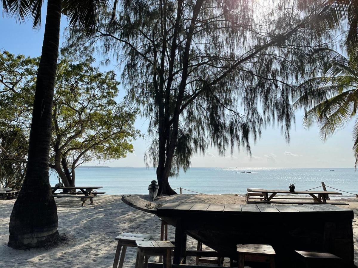 达累斯萨拉姆 Mikadi Beach Camp & Backpackers旅舍 外观 照片