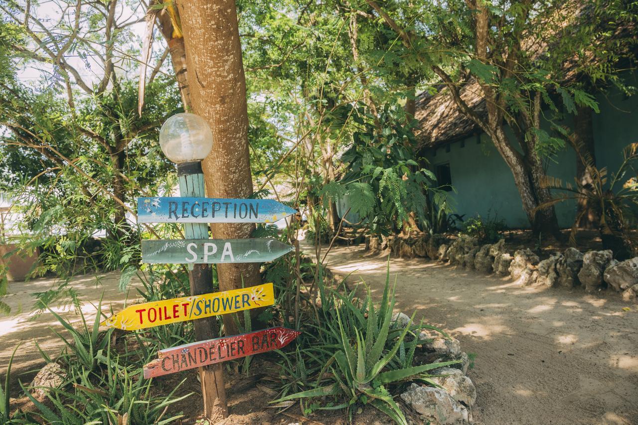 达累斯萨拉姆 Mikadi Beach Camp & Backpackers旅舍 外观 照片